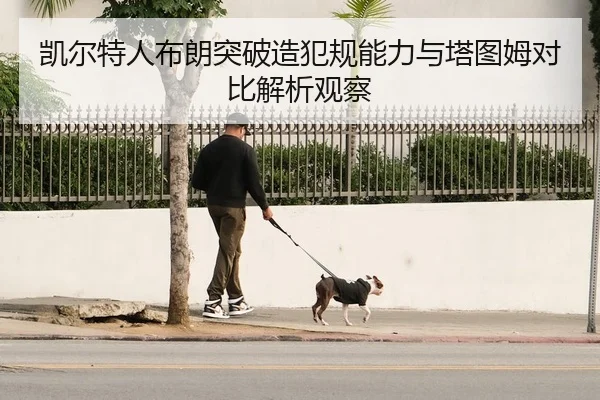 凯尔特人布朗突破造犯规能力与塔图姆对比解析观察