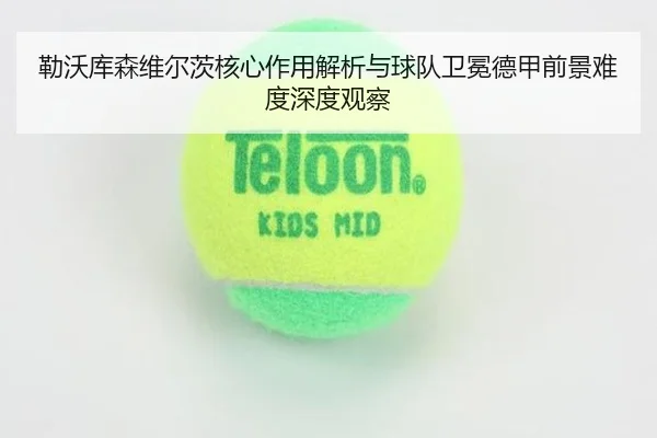 勒沃库森维尔茨核心作用解析与球队卫冕德甲前景难度深度观察