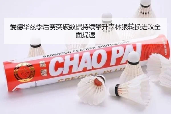爱德华兹季后赛突破数据持续攀升森林狼转换进攻全面提速