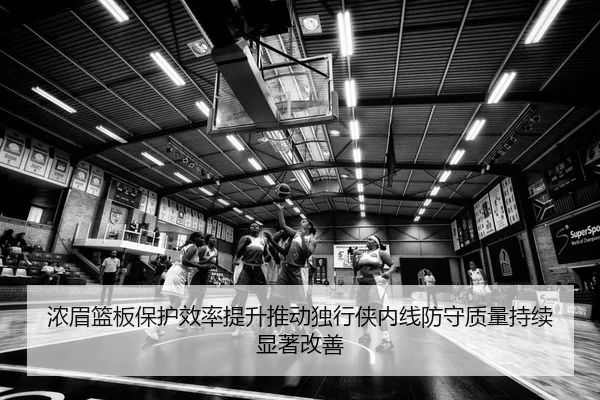 浓眉篮板保护效率提升推动独行侠内线防守质量持续显著改善